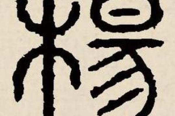 给姓杨的鸡宝宝取名字的传统与现代结合 给姓杨的鸡宝宝取名字的传统与现代结合