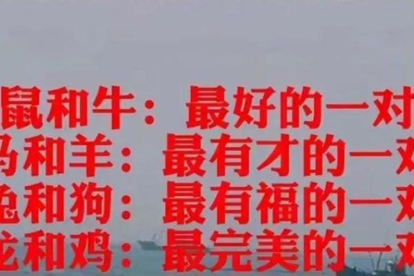 鼠与龙的相配解析:性格与命运的碰撞 鼠与龙的相配解析:性格与命运的碰撞