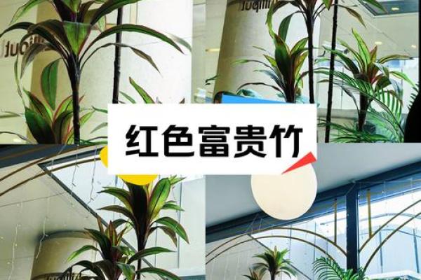 风水摆件如何帮助改善家居气场 风水摆件如何帮助改善家居气场