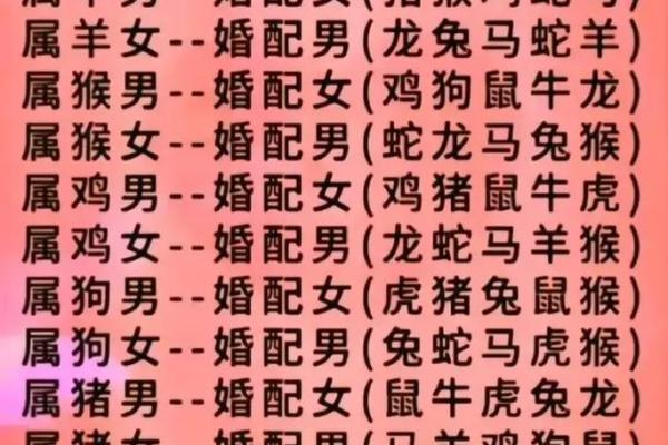 属相相配表与爱情:如何根据生肖找到完美的另一半 属相相配表与爱情:如何根据生肖找到完美的另一半