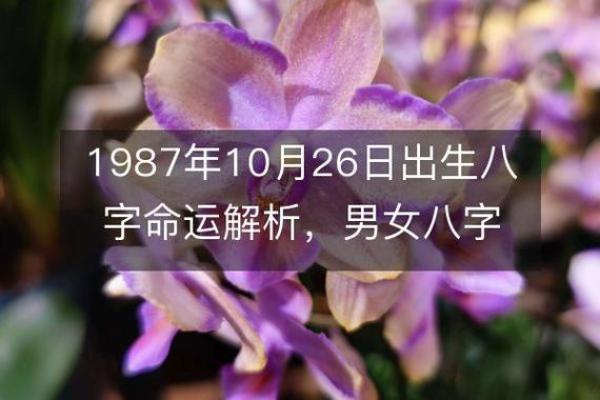出生的人生八字解析:命运的启示 出生的人生八字解析:命运的启示