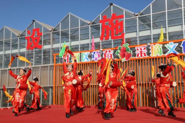 草莓名字的由来与文化意义探索
