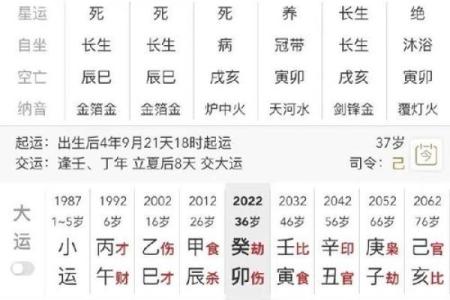 八字分析中的偏财运势与财富机遇