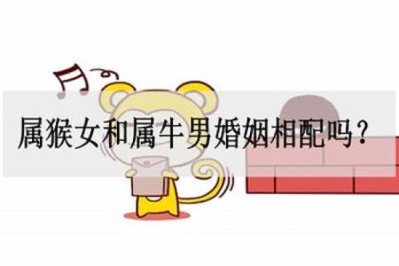 女猴与男羊婚姻能走多远？分析彼此相配的关键因素