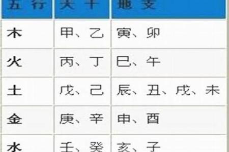 出生的人五行属什么命解析