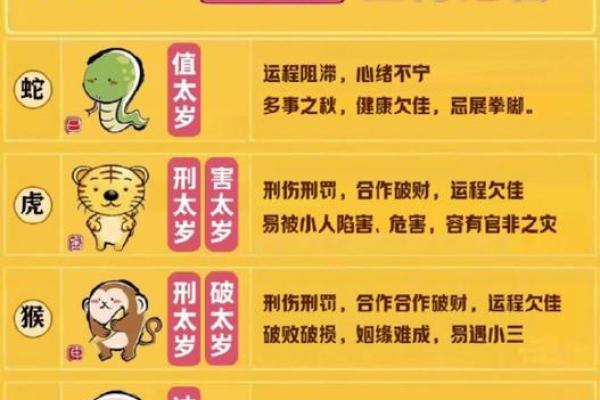年虎人运势全面分析与建议 年虎人运势全面分析与建议