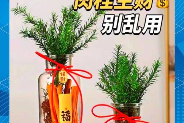财位花卉摆放风水技巧助力财运提升 财位花卉摆放风水技巧助力财运提升