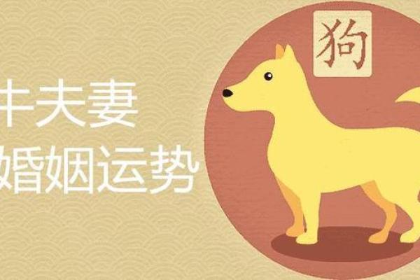 属狗女和属牛男是否天作之合 属狗女和属牛男是否天作之合