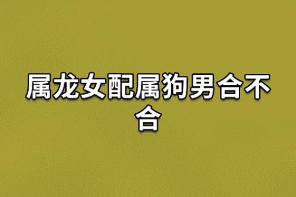 属狗女和属牛男是否天作之合 属狗女和属牛男是否天作之合