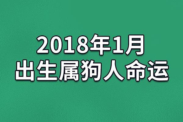 出生属狗的每月运程预测 出生属狗的每月运程预测