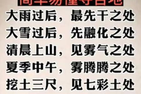 风水设计：打造和谐家居环境的秘诀
