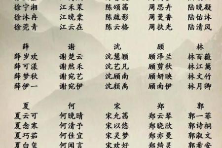 免费猪宝宝名字大全：精选现代与传统相结合的名字方案