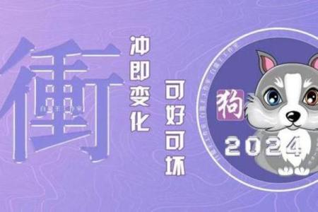 出生属狗的每月运程预测