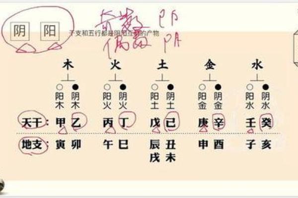 通过五行推算生辰八字的事业运势 通过五行推算生辰八字的事业运势