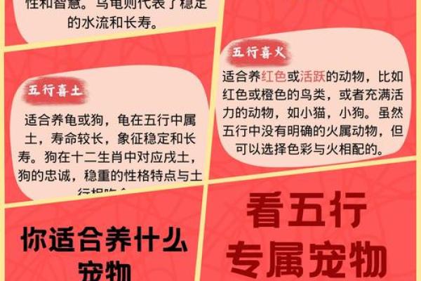 大字五行属性解析与相关文化意义 大字五行属性解析与相关文化意义