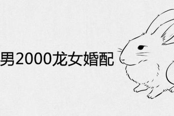 从生肖看女兔男猴婚姻合适吗 从生肖看女兔男猴婚姻合适吗