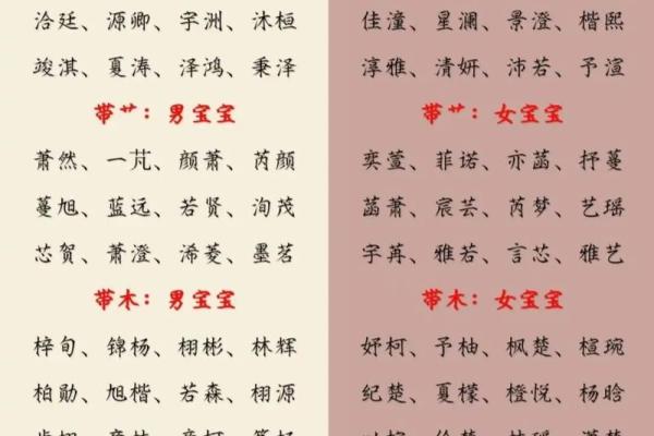如何为孩子起个有意义的名字 如何为孩子起个有意义的名字