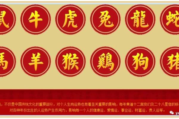 运势大揭秘:各大生肖的命运走向 运势大揭秘:各大生肖的命运走向