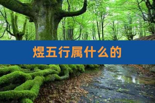 煜字的五行属性分析及其影响力探讨 煜字的五行属性分析及其影响力探讨