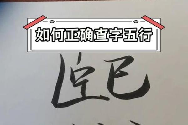 生字五行属性解析与应用技巧 生字五行属性解析与应用技巧
