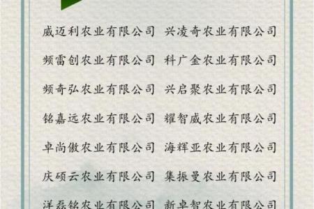 免费公司起名平台推荐，助力创业者轻松起名