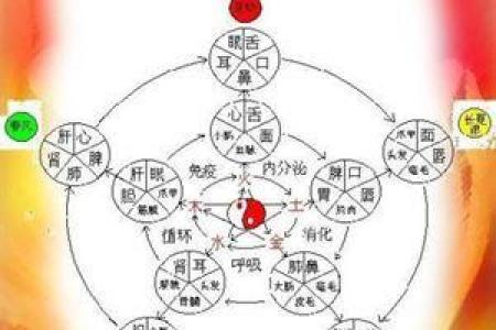 鸣字五行属性解析及其命理影响