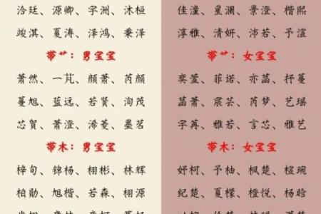 如何为孩子起个有意义的名字