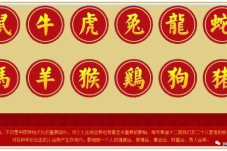 运势大揭秘：各大生肖的命运走向