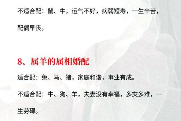 生肖配对指南:揭秘属相相合与相冲的奥秘 生肖配对指南:揭秘属相相合与相冲的奥秘