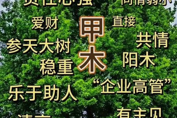 算八字准不准?揭秘其背后的真实效果和局限性 算八字准不准?揭秘其背后的真实效果和局限性