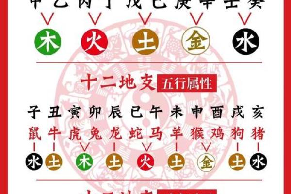 卯在五行中代表什么含义及其属性解析 卯在五行中代表什么含义及其属性解析