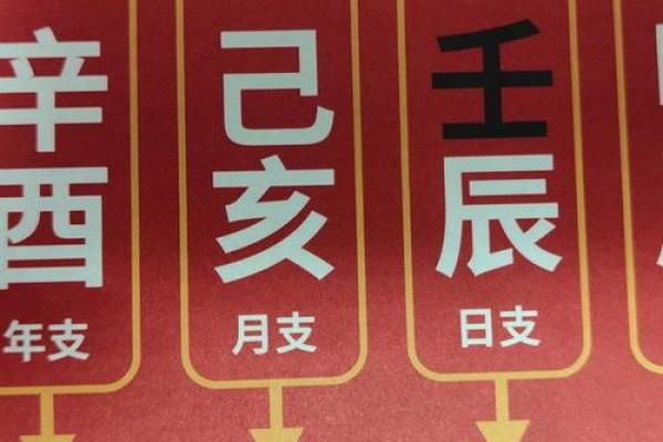 出生的人属什么命及其性格特点解析 出生的人属什么命及其性格特点解析