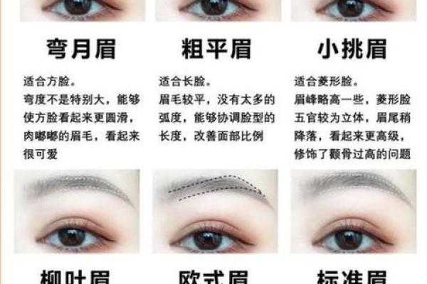 八字眉与其他眉形的对比分析 八字眉与其他眉形的对比分析