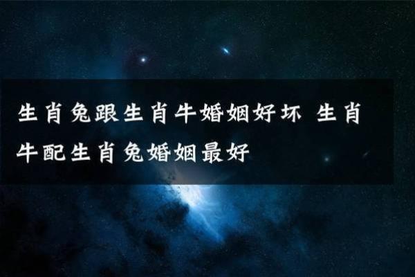 生肖兔女与猪男的婚姻运势如何?专家解析 生肖兔女与猪男的婚姻运势如何?专家解析