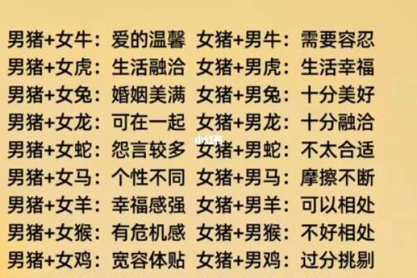 生肖兔女与猪男的婚姻运势如何?专家解析 生肖兔女与猪男的婚姻运势如何?专家解析