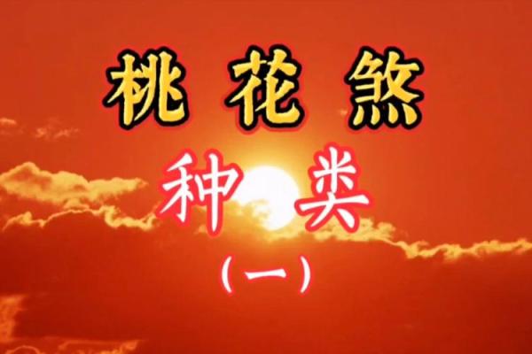 桃花运在八字中的表现与解析 桃花运在八字中的表现与解析