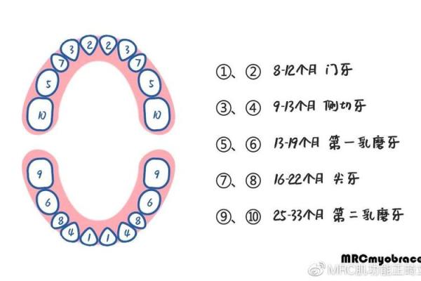 宝宝名字评分测试:一个名字的得分背后隐藏了什么 宝宝名字评分测试:一个名字的得分背后隐藏了什么