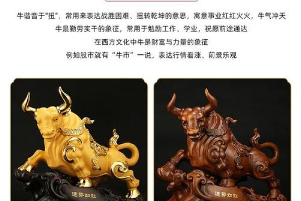 办公室风水与生肖运势的完美结合指南 办公室风水与生肖运势的完美结合指南