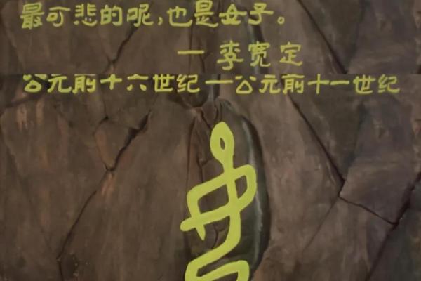 深入探讨女命的构成与影响因素 深入探讨女命的构成与影响因素