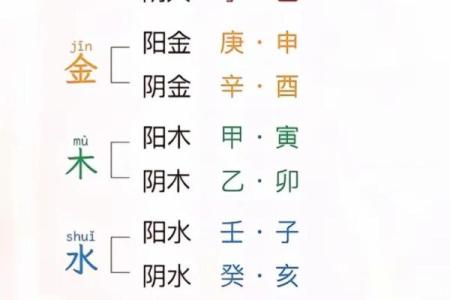 生辰八字五行查询：了解你的五行平衡与不平衡