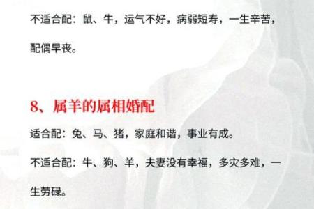 生肖配对指南：揭秘属相相合与相冲的奥秘