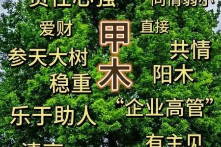 算八字准不准？揭秘其背后的真实效果和局限性