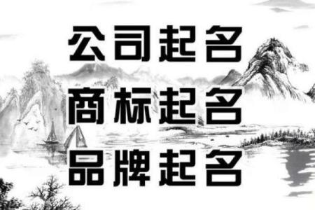 如何通过公司免费起名服务为品牌打造独特标识