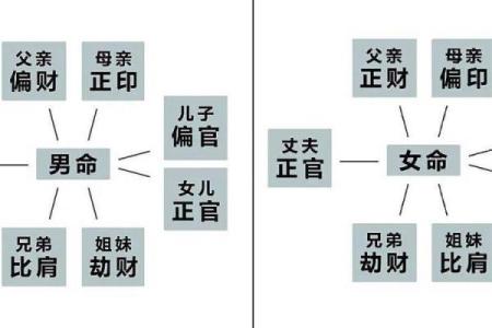 命运详解：这一年出生的人有哪些命理特点