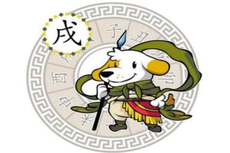 属狗人的运势如何？解读年度关键运势变化