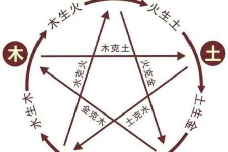 数字五行在现代生活中的应用与意义分析