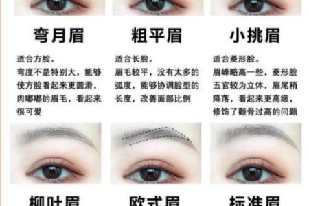八字眉与其他眉形的对比分析