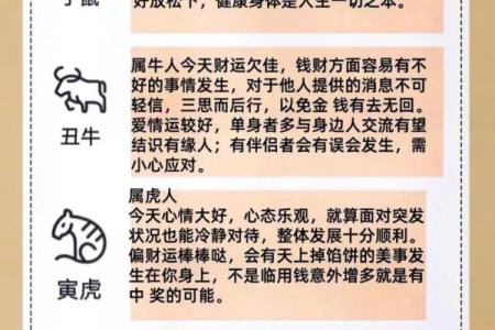 鼠生肖今日运程全解析，掌握运势走向与应对策略