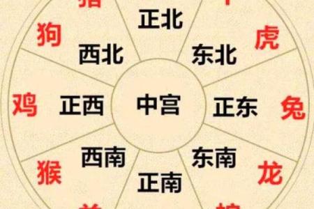 虎年每月运势全解析：从正月到腊月的运程起伏
