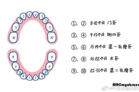 宝宝名字评分测试：一个名字的得分背后隐藏了什么